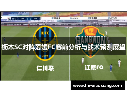 枥木SC对阵爱媛FC赛前分析与战术预测展望